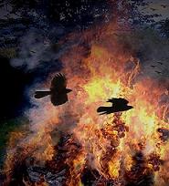 20090323105214-fuego.jpg